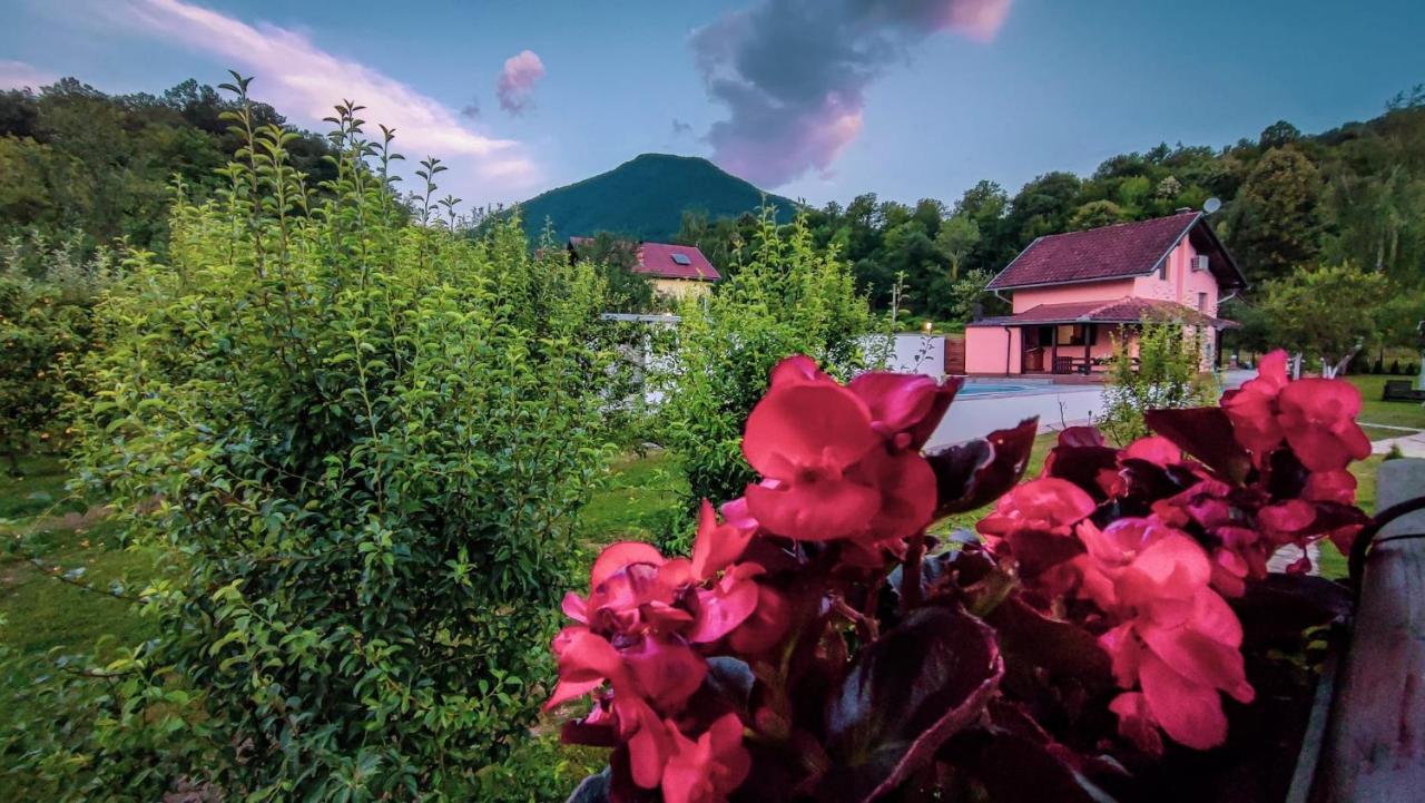 Holiday Home Emir Racic Buitenkant foto